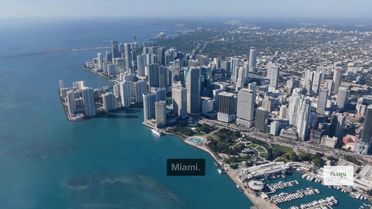 Miami Self-Guided Audio Tour