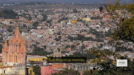 San Miguel de Allende Self-Guided Audio Tour